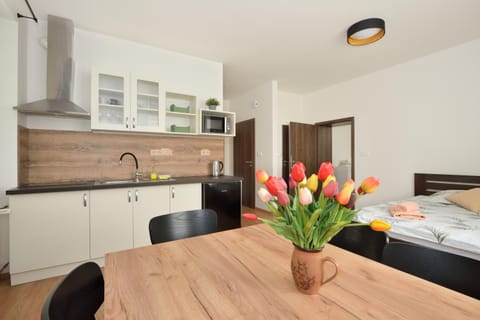 Kitchen or kitchenette, microwave, stove, kitchen