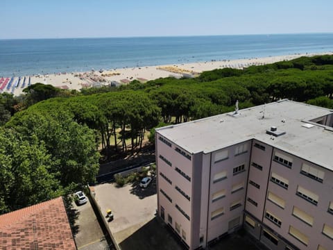 Property building, Day, Bird's eye view