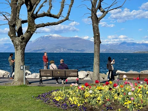 Nido tra castello e lago House in Desenzano del Garda