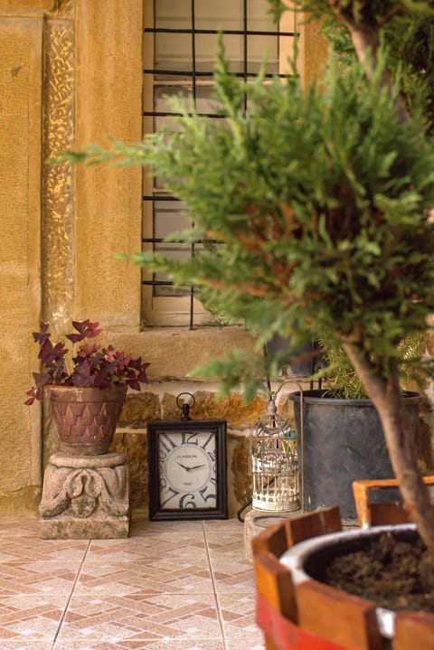 Property building, Patio, Garden