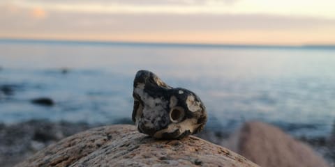 Küstenresidenz 9 Apartment in Tyrol