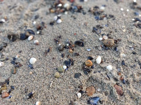 Küstenresidenz 9 Apartment in Tyrol