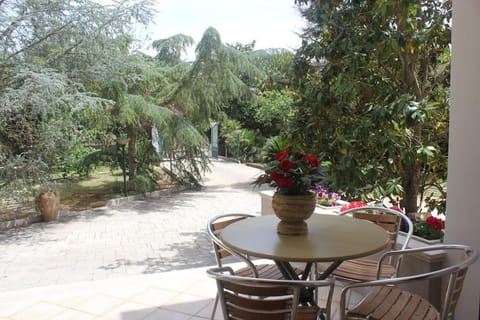 Garden view