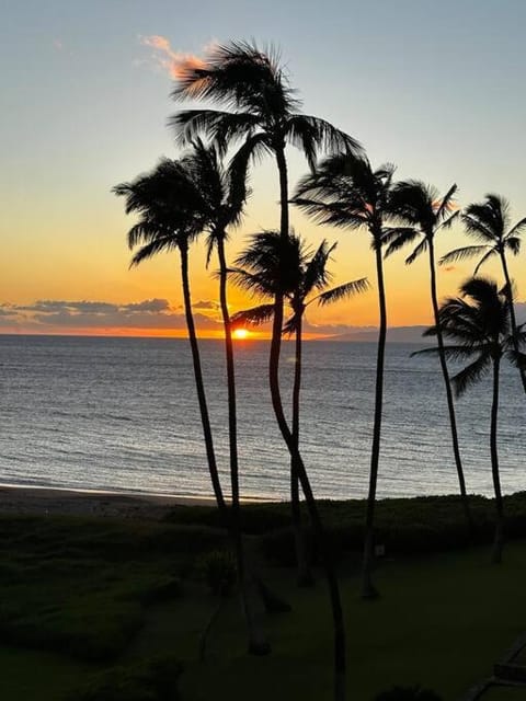 Beach, Sea view, Sunset