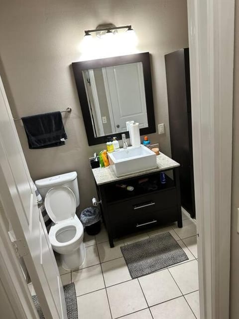 The Hangout ! Apartment in Addison