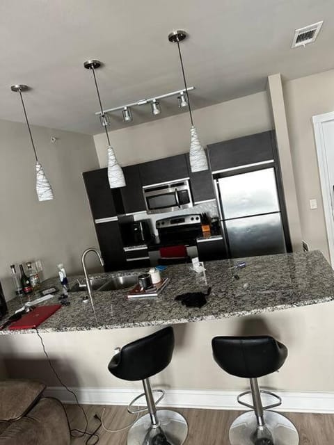 The Hangout ! Apartment in Addison