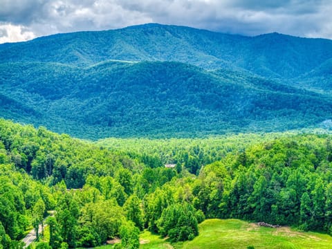 Grants Cottage, Pickleball Court, Creek, WIFI, Mountain Views, Starting at 79" House in Cosby