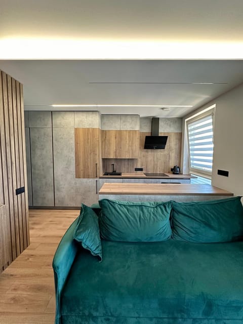 Budiniškiu apartamentai Apartment in Vilnius