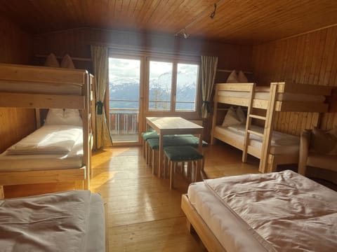 Bed, Photo of the whole room, Bedroom, bunk bed