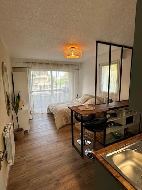 Bed, Kitchen or kitchenette, Living room, Dining area, Bedroom