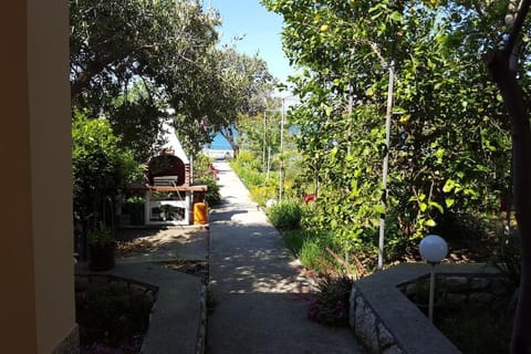 Natural landscape, BBQ facilities, Garden