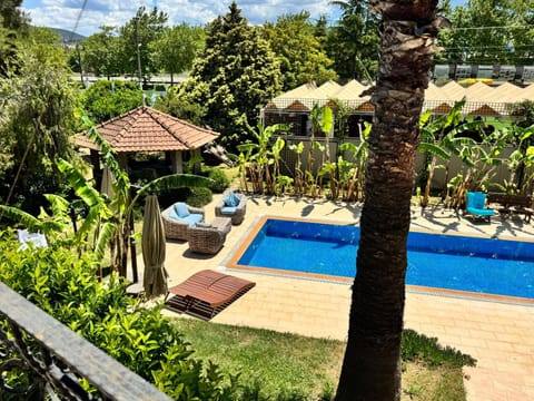 Day, Natural landscape, Garden, Garden view, Pool view, Swimming pool, sunbed