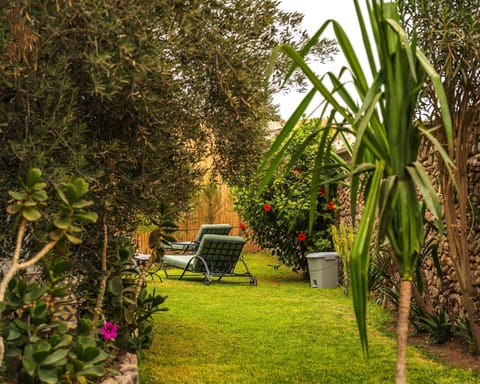 Garden, Garden view, Swimming pool