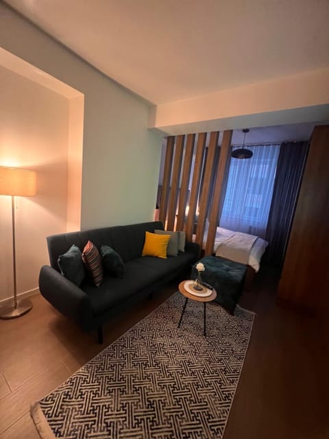 Bed, Living room, Photo of the whole room, Seating area, Bedroom