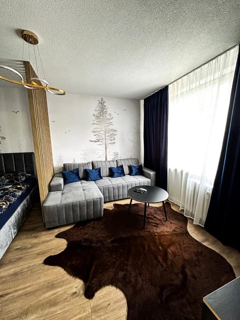 Living room, Photo of the whole room, Seating area