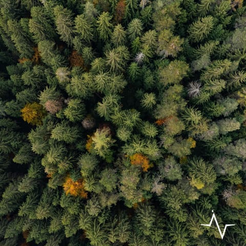 Bird's eye view, View (from property/room)