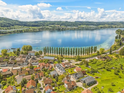 Bird's eye view, Lake view