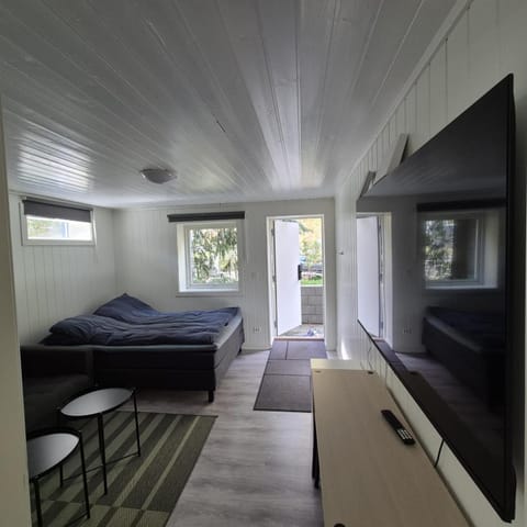 Bed, TV and multimedia, Photo of the whole room