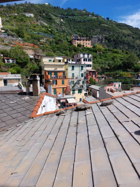 Casa Castello Riomaggiore Apartment in Riomaggiore