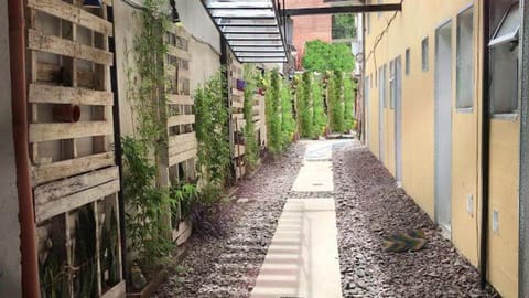 Spring, Garden, Garden view