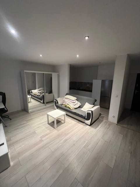 City Center Apartment 45m, 100m from RYNEK and Wisła River 1 Bedroom and 1 Living Room with Kitchen plus Bathroom, a perfect Family Friendly Place or for Home Office and a longer Stay, a proper office desk with business chair provided, Apartment in Pomeranian Voivodeship