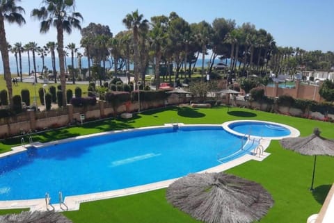 Natural landscape, Pool view, Swimming pool, sunbed