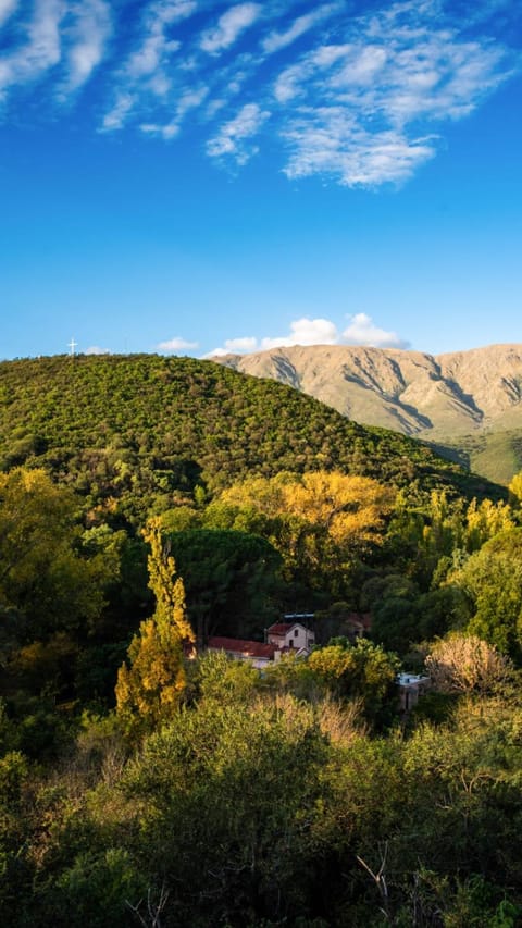 Mountain view