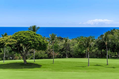 CCV 316 Spacious Top Floor Oceanview Lanai w/ AC House in South Kona