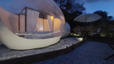 Night, Garden