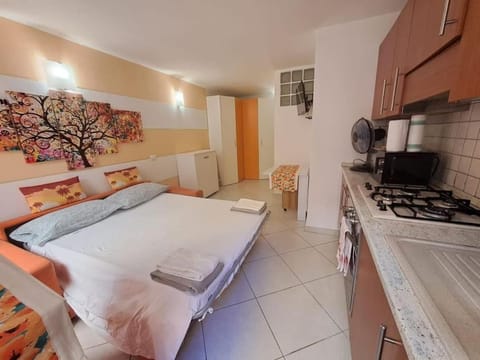 Bed, Kitchen or kitchenette, Photo of the whole room