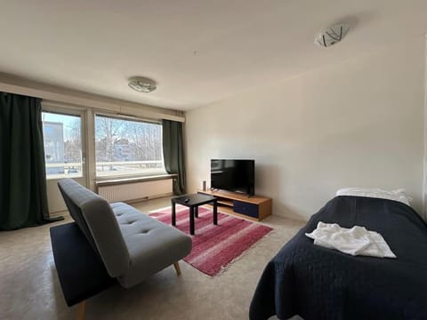 Kotimaailma - Tilava kolmio lähellä keskustaa #2 Apartment in Finland
