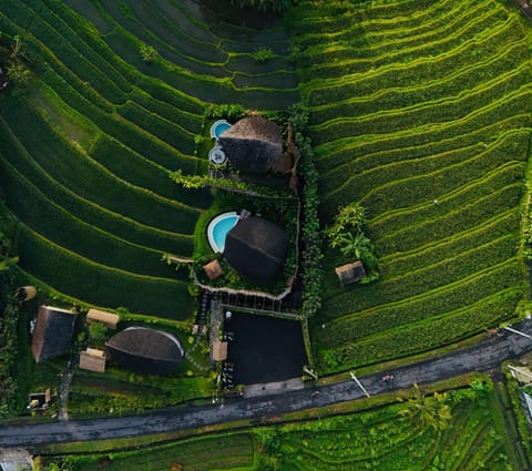 Nivriti Bali Villa in Sidemen