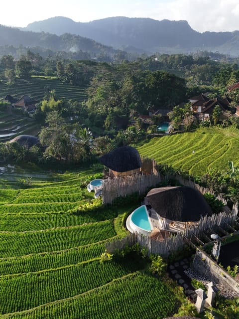 Nivriti Bali Villa in Sidemen