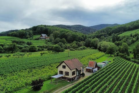 Property building, Natural landscape, Other