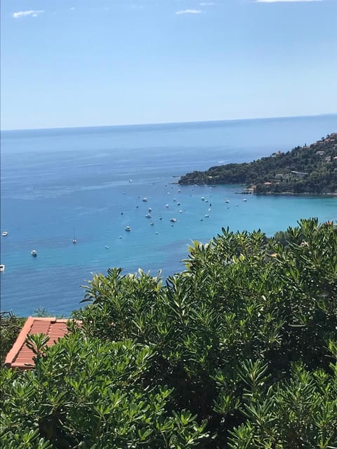 Garden, Sea view