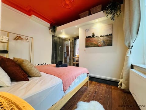 L'haussmanien romantique - HEC, Jardin botanique Apartment in Liège