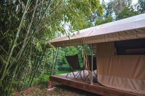 Night, Natural landscape, Family