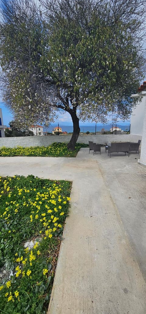 Spring, Day, Natural landscape, Garden, Garden view