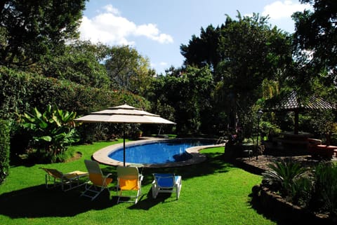 Summer, Garden, Swimming pool