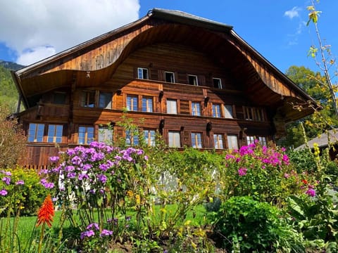 Property building, Summer