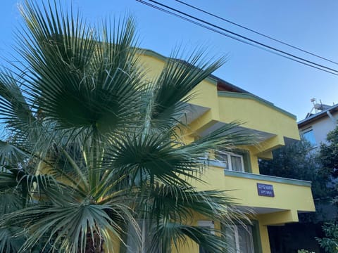 Property building, Day