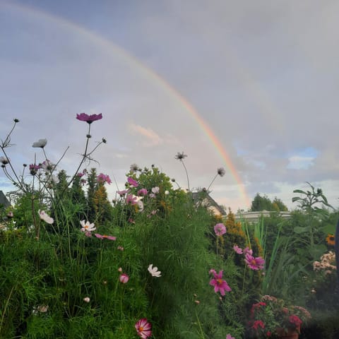 Vitay Mielno Apartment in West Pomeranian Voivodeship, Poland