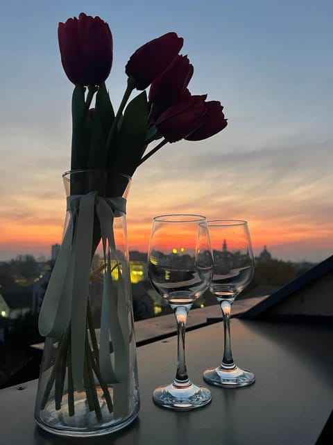 Apartman Sky Apartment in Vojvodina