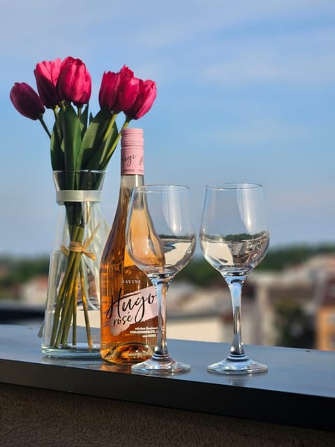 Apartman Sky Apartment in Vojvodina