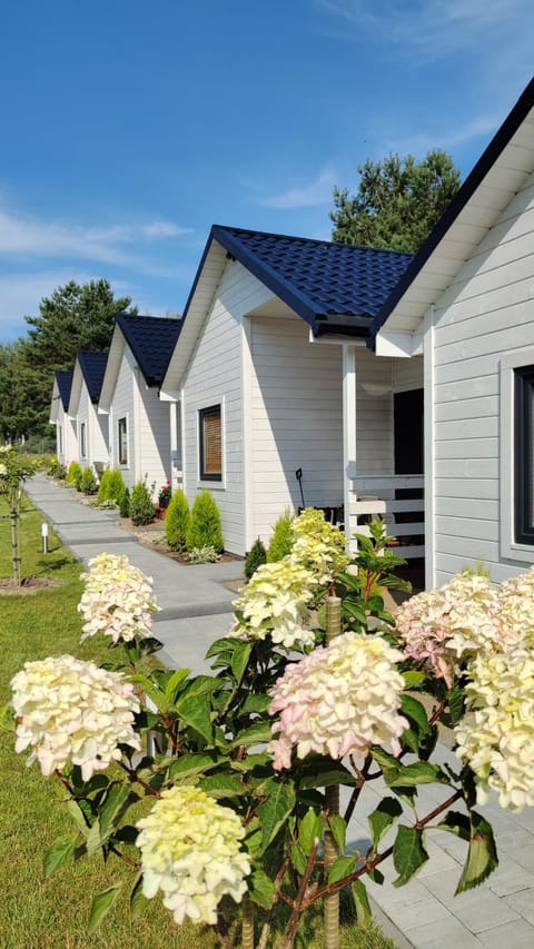 Property building, Garden, Garden view, Area and facilities