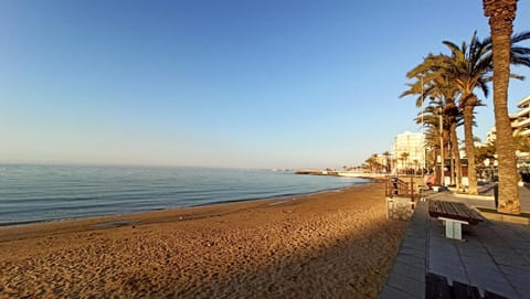 Nearby landmark, Beach
