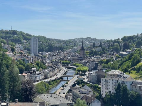 View (from property/room), City view, Landmark view, River view