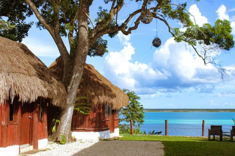 Lake view