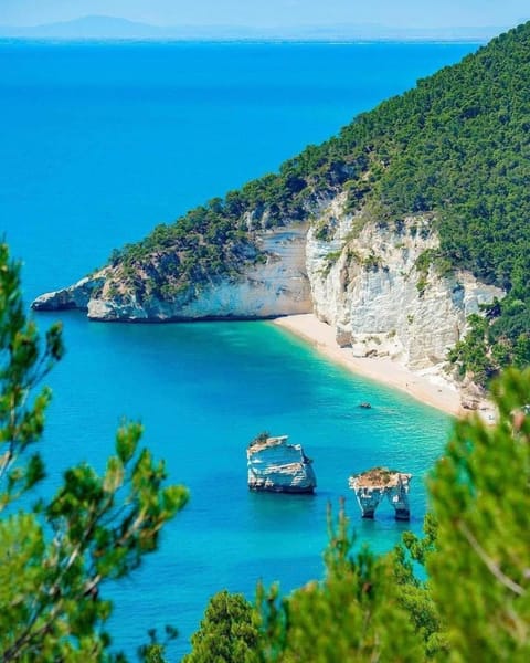 Sea view