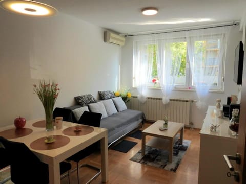 Living room, Seating area, internet, air conditioner